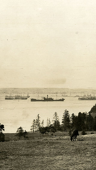 Photographie panoramique sépia du havre de Sydney où on voit un convoi d’au moins une demi-douzaine d’immenses navires de guerre au mouillage. À l’avant-plan de la photographie, il y a un petit quai à gauche, des enfants qui jouent au bord de l’eau et une petite embarcation attachée au rivage.