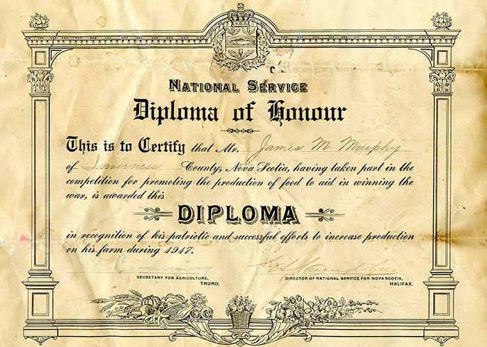 Diplôme en papier sépia émis par le Gouvernement du Canada.